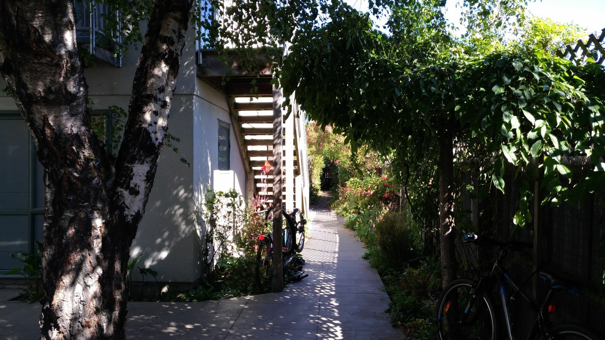 Kiwi House Hostel Christchurch Extérieur photo